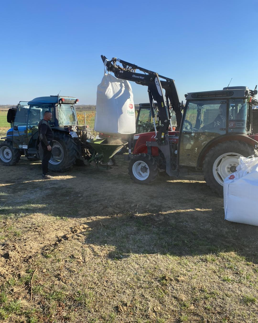 novemberi munkák a szőlőben